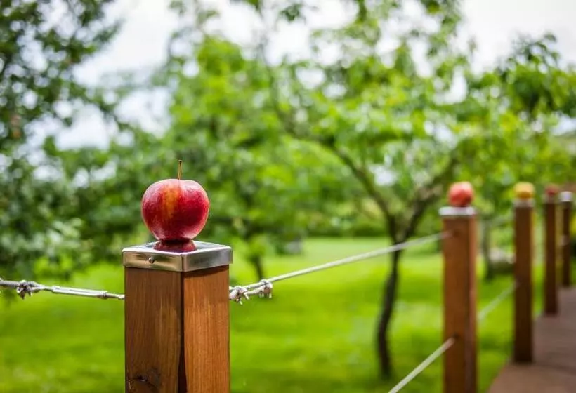 Aamiaismajoitus (B&B) Appleslounge