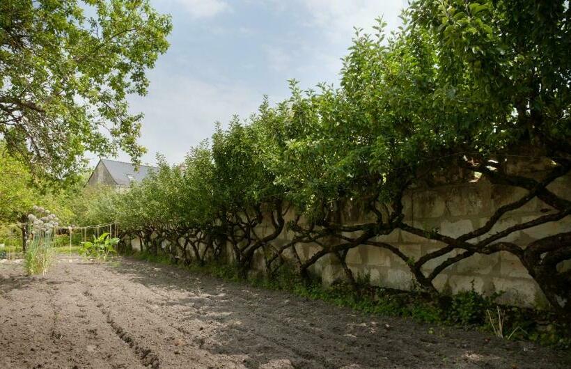 ベッドアンドブレックファースト Chambre D Hôtes Des Grands Moulins De Baugé