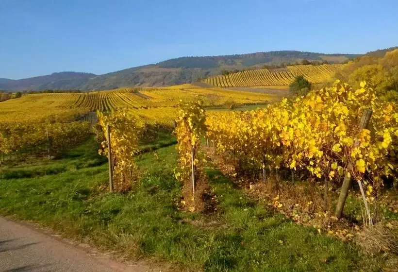 ベッドアンドブレックファースト Chez Yolande