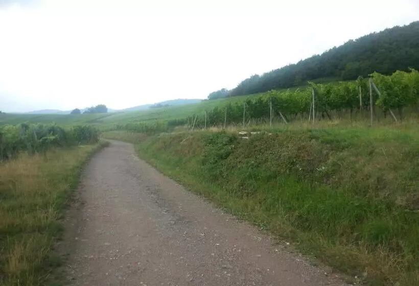 ベッドアンドブレックファースト Chez Yolande