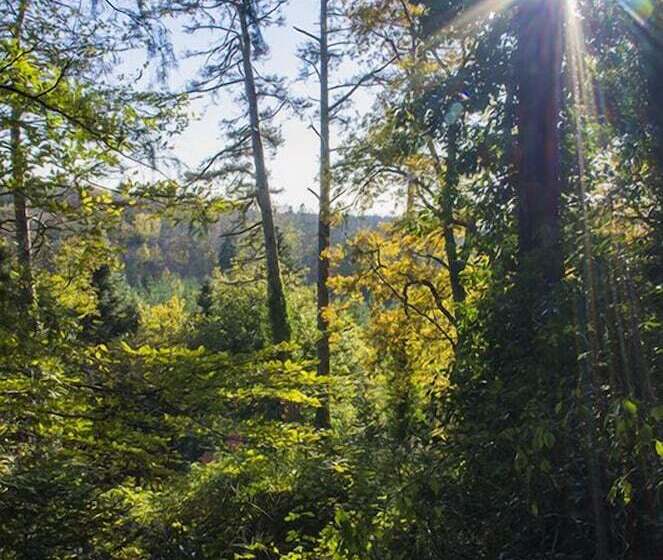 צימר Château De Peufeilhoux