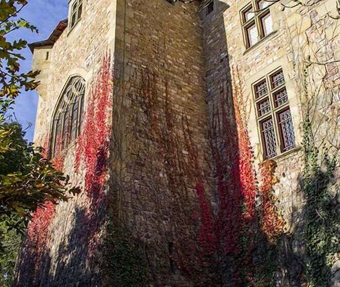 צימר Château De Peufeilhoux