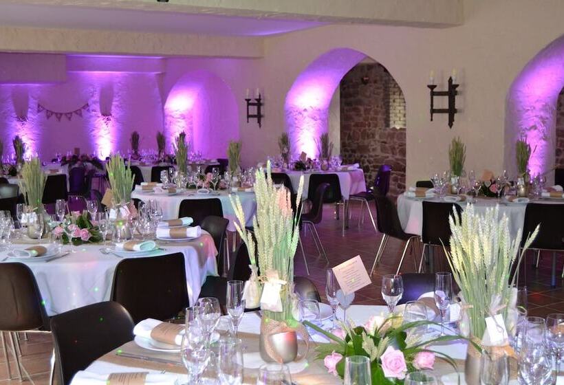 צימר Château De Peufeilhoux