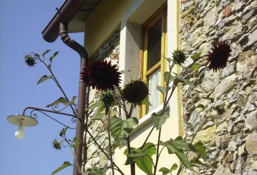 Aamiaismajoitus (B&B) Il Girasole