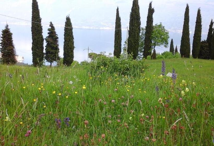 ホテル Agriturismo Casa Del Castagneto