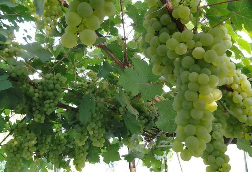 펜션 Chambres D’hotes Vue Sur La Campagne