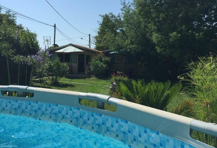 بنسيون Maison De Lege