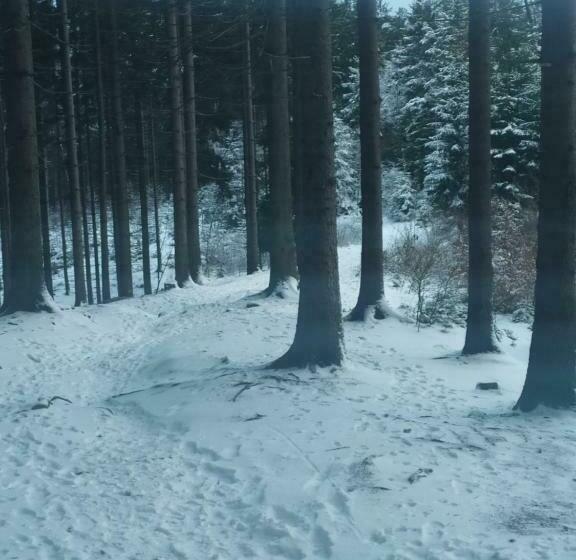 Panzió Penzion Bazalka