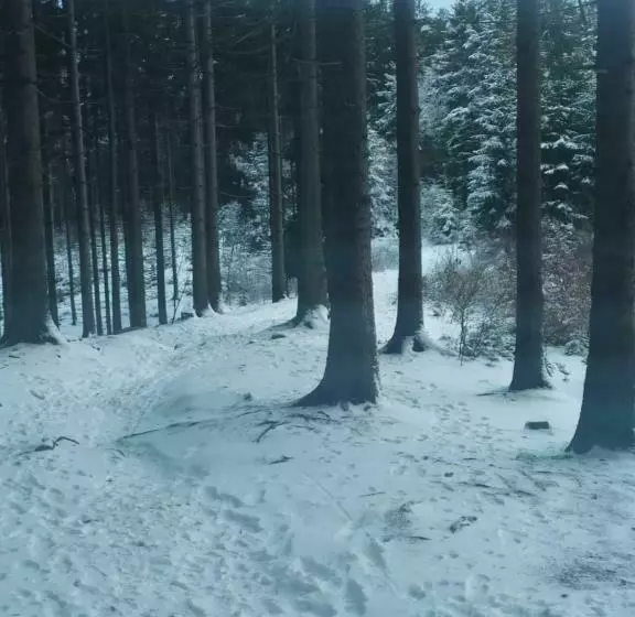 Majatalo Penzion Bazalka