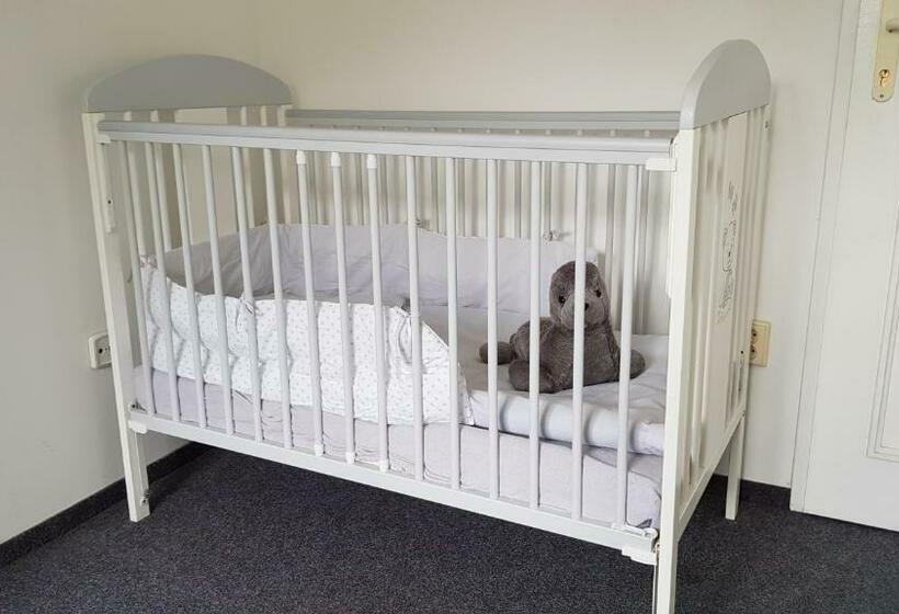 بنسيون Penzion Prachov