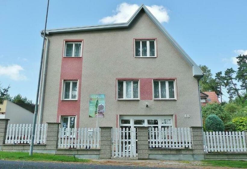 بنسيون Penzion Prachov