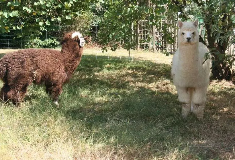 Aamiaismajoitus (B&B) Une Chambre à La Campagne