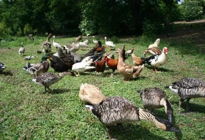 Aamiaismajoitus (B&B) Une Chambre à La Campagne