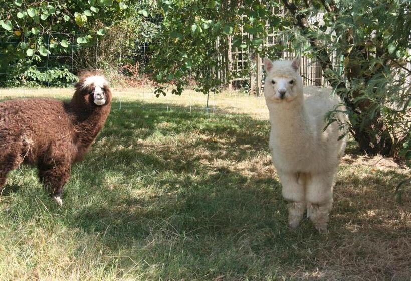 민박 Une Chambre à La Campagne