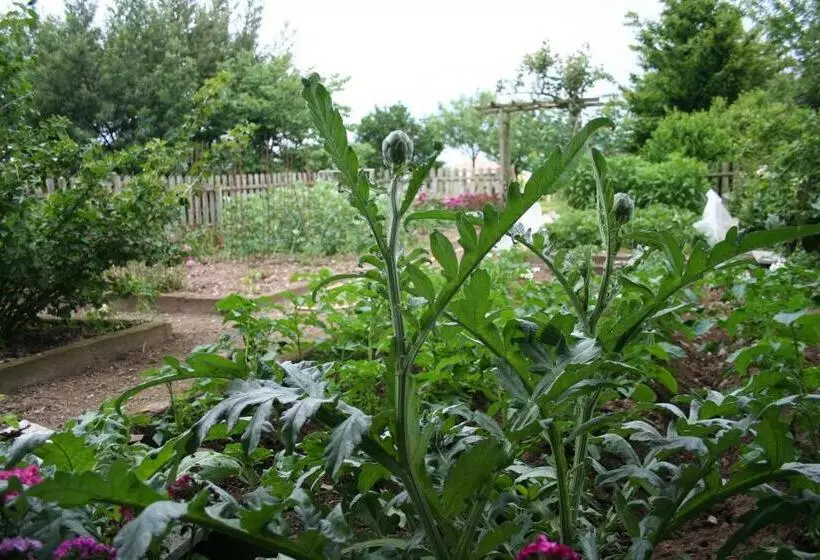Aamiaismajoitus (B&B) Une Chambre à La Campagne