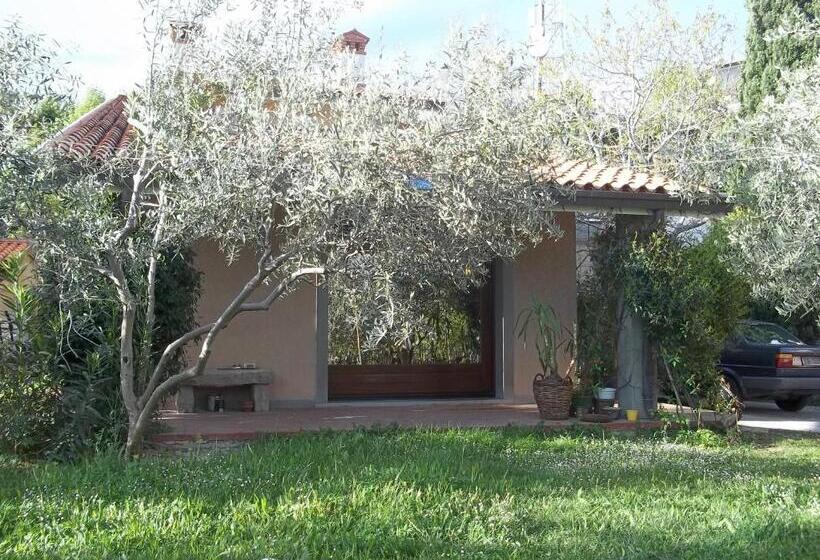 مبيت وإفطار Villa Ambrosia