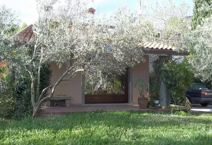 Aamiaismajoitus (B&B) Villa Ambrosia