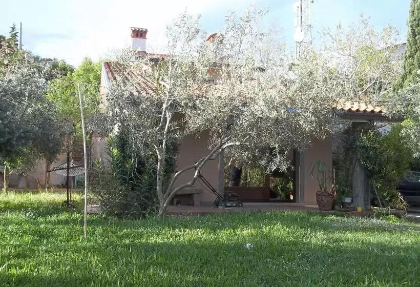 Aamiaismajoitus (B&B) Villa Ambrosia