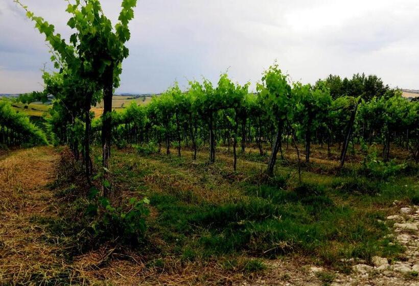 Отель Agriturismo Colomboni