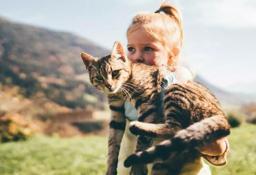 Majatalo Gästehaus Berger   Priglhof