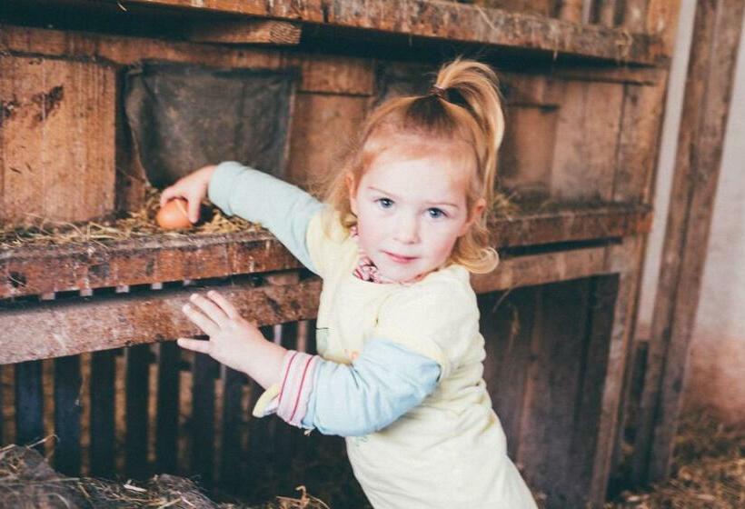 膳宿费 Gästehaus Berger   Priglhof