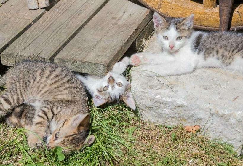 膳宿费 Gästehaus Berger   Priglhof