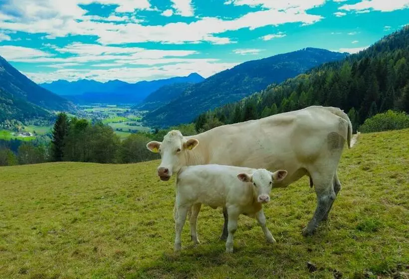 Majatalo Gästehaus Berger   Priglhof