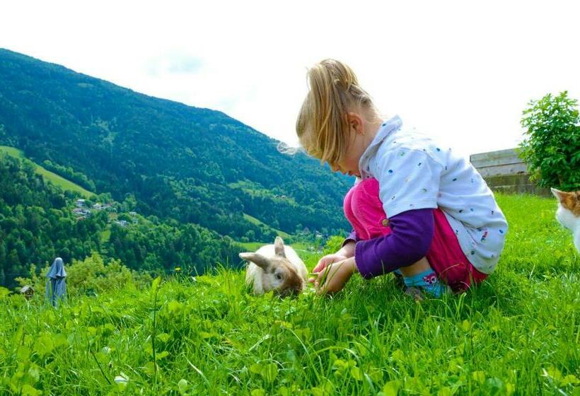 膳宿费 Gästehaus Berger   Priglhof