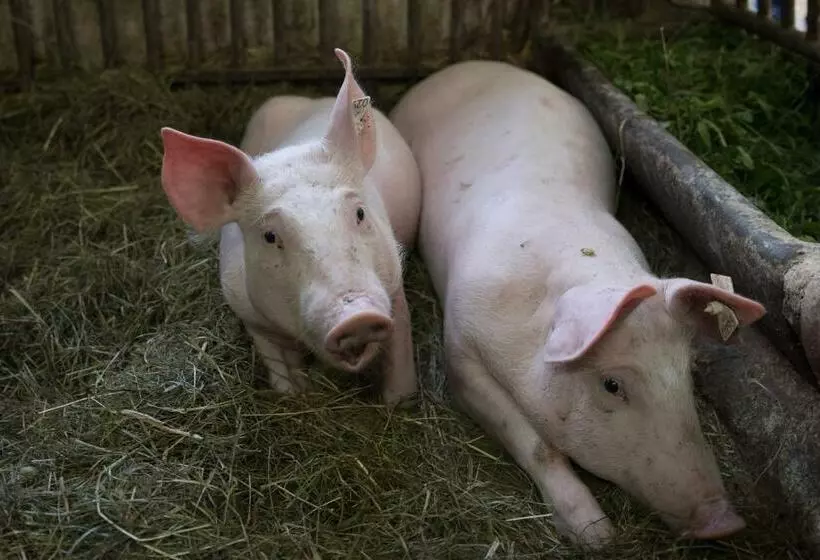 Majatalo Gästehaus Berger   Priglhof