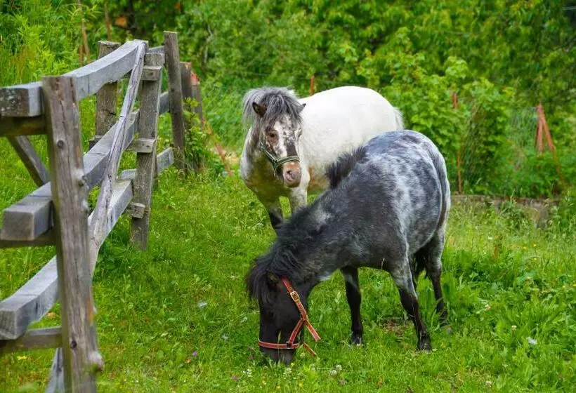 Majatalo Gästehaus Berger   Priglhof