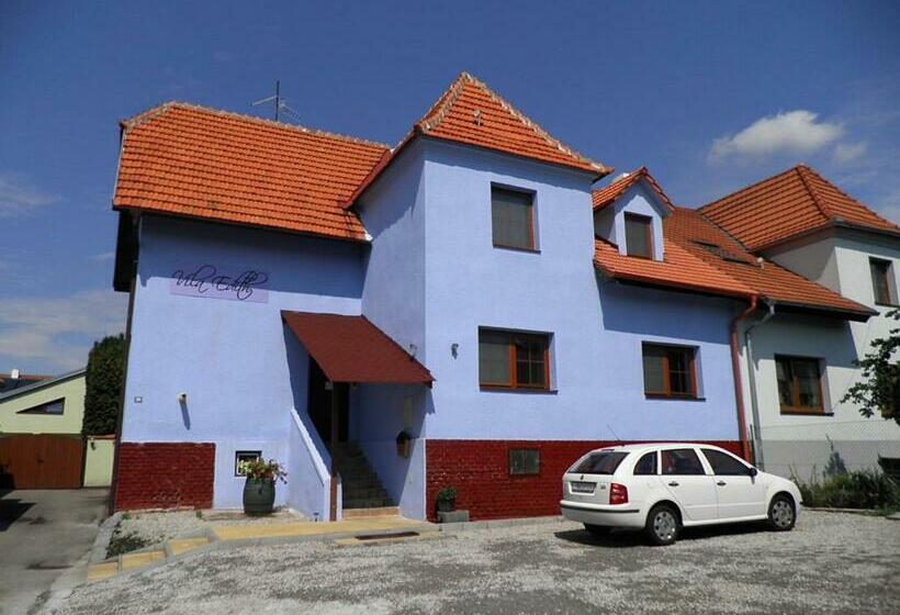 פנסיון Vila Edith Valtice