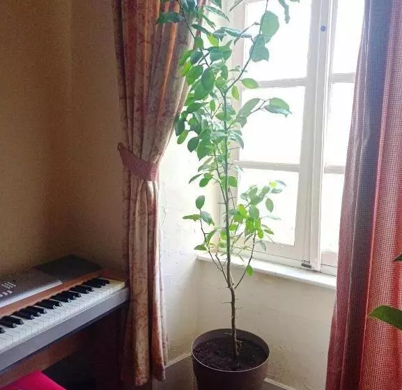 ベッドアンドブレックファースト Chateau View Chambres D Hôtes