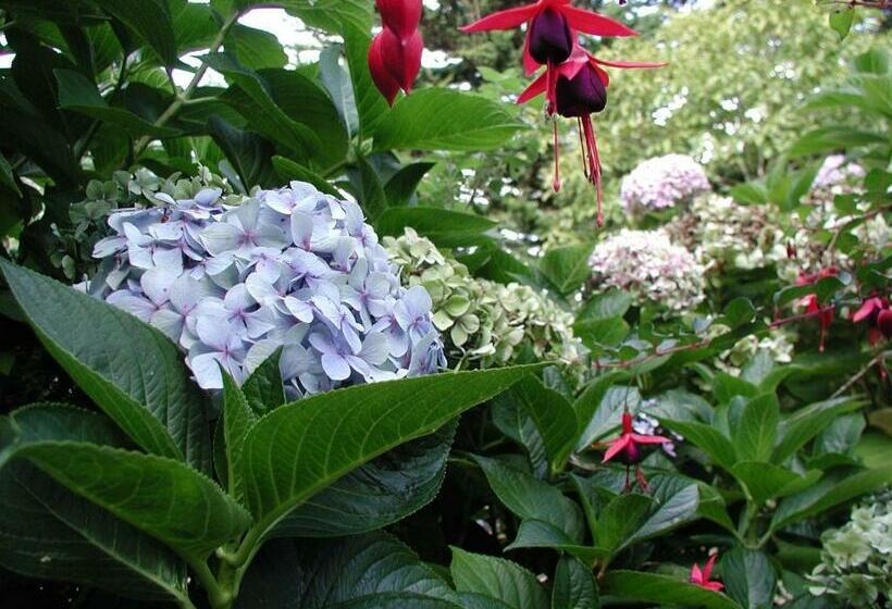 ベッドアンドブレックファースト Invitation Au Rivage