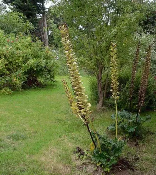 Aamiaismajoitus (B&B) Invitation Au Rivage