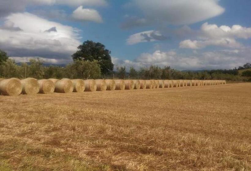 فندق Agriturismo Oasi Del Pianettino