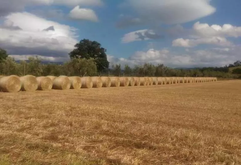 ホテル Agriturismo Oasi Del Pianettino