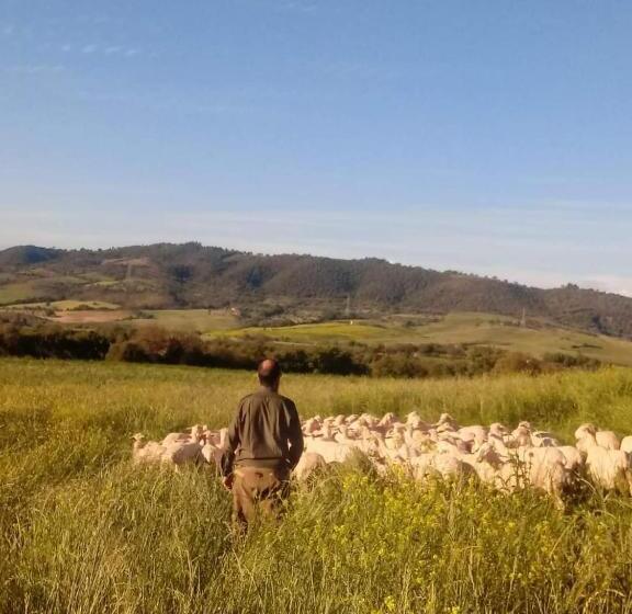 فندق Agriturismo Oasi Del Pianettino