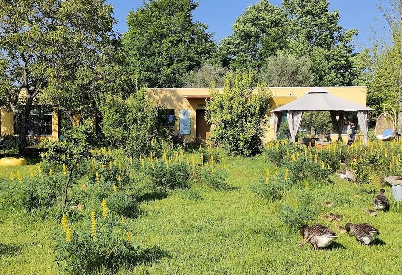 בית מלון כפרי Casa Das Palmeiras Pedagogic Farm