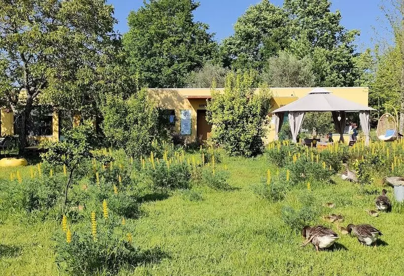 ホテル Casa Das Palmeiras Pedagogic Farm