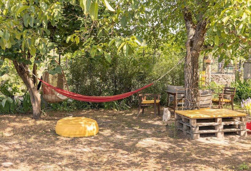 בית מלון כפרי Casa Das Palmeiras Pedagogic Farm