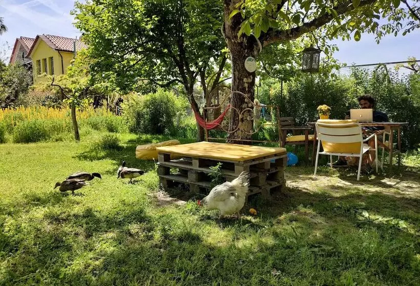ホテル Casa Das Palmeiras Pedagogic Farm