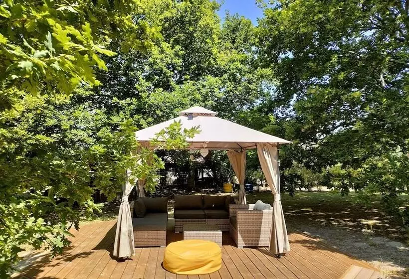 ホテル Casa Das Palmeiras Pedagogic Farm