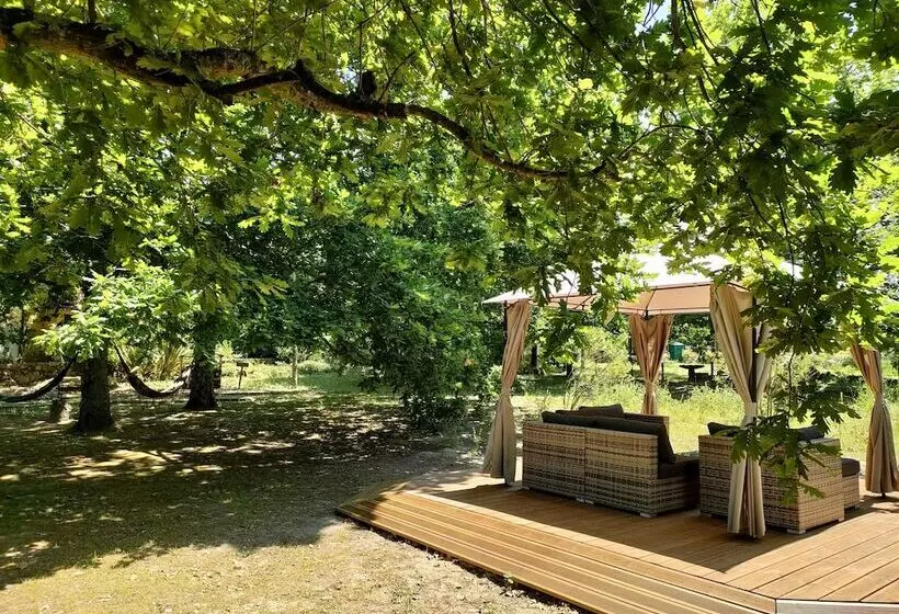 ホテル Casa Das Palmeiras Pedagogic Farm