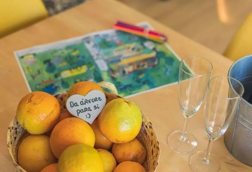 ホテル Casa Das Palmeiras Pedagogic Farm