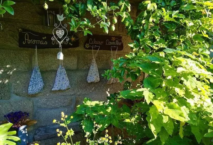 ホテル Casa Das Palmeiras Pedagogic Farm