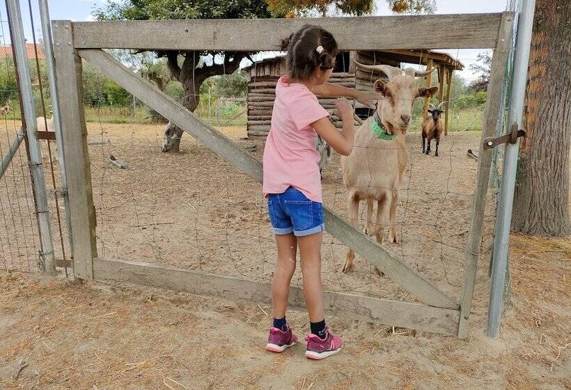בית מלון כפרי Casa Das Palmeiras Pedagogic Farm