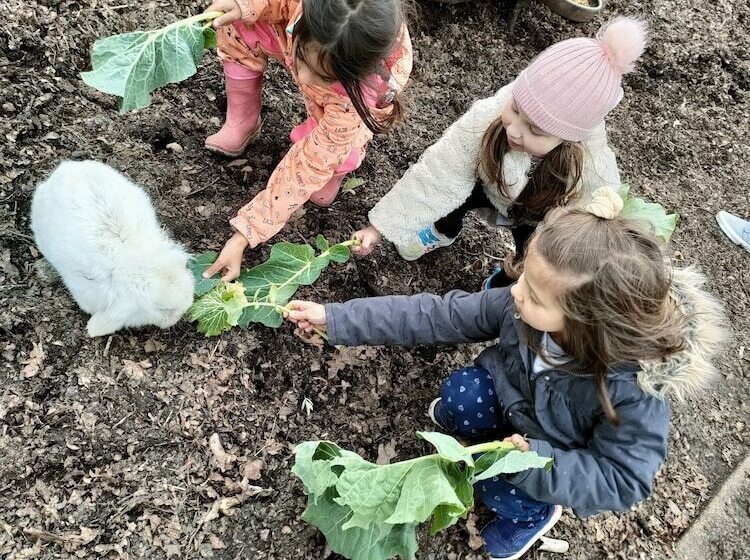 בית מלון כפרי Casa Das Palmeiras Pedagogic Farm