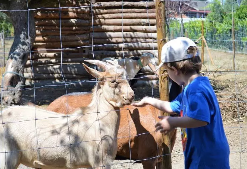ホテル Casa Das Palmeiras Pedagogic Farm