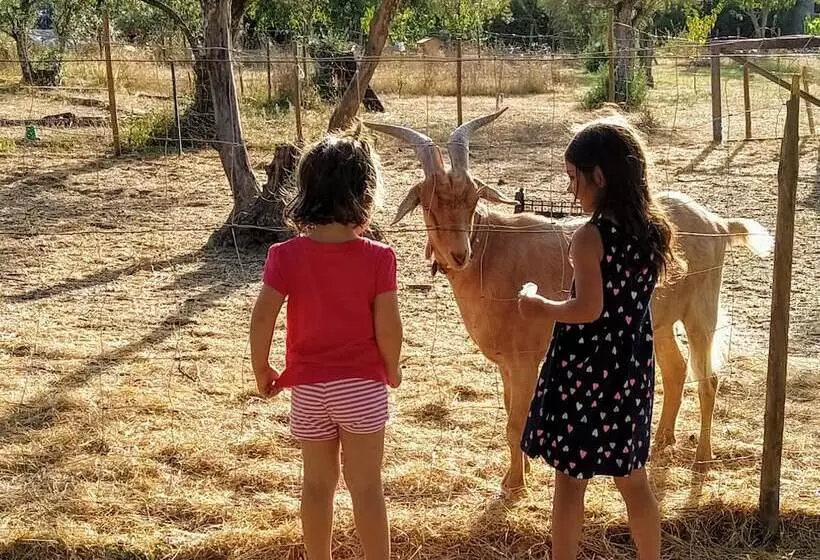 ホテル Casa Das Palmeiras Pedagogic Farm