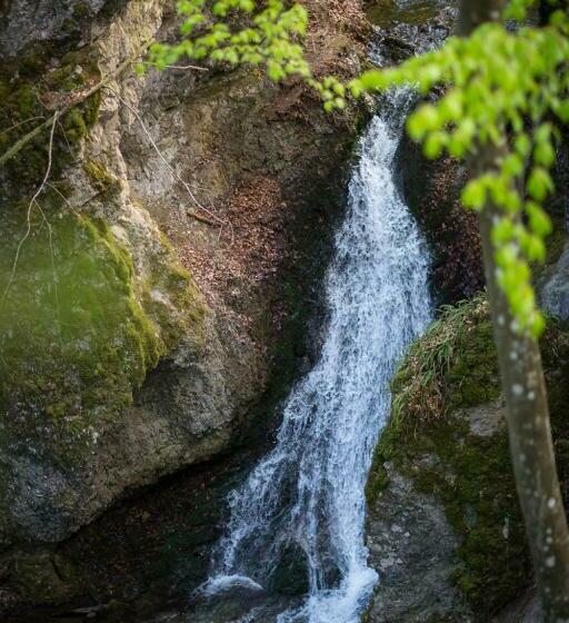 Пансион Penzion Hastrman